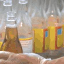 国庆节香港最新动态更新
