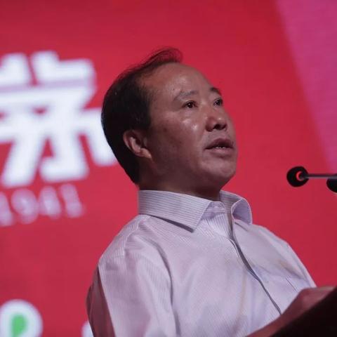 视觉中国股票TOP10排名解析，探究背后的力量与趋势