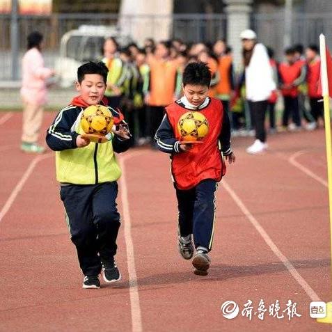 临沂兔价最新动态，市场走势及影响因素深度解析