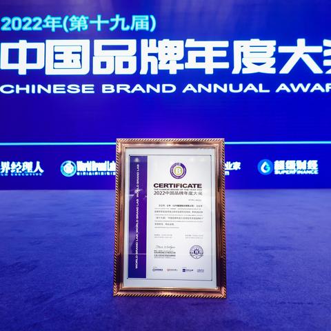 插座定制厂家排名TOP10揭秘，行业翘楚深度探寻