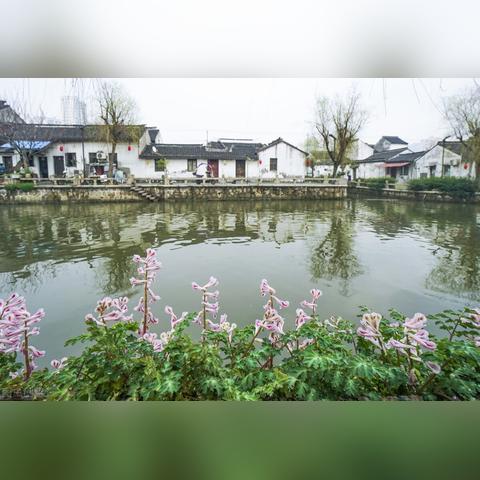 高抬贵手