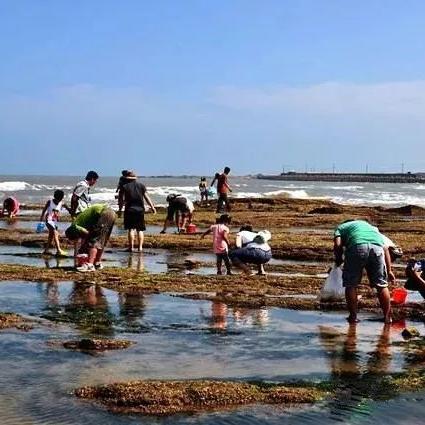畅游海洋世界必备攻略，最新大海之旅指南大全