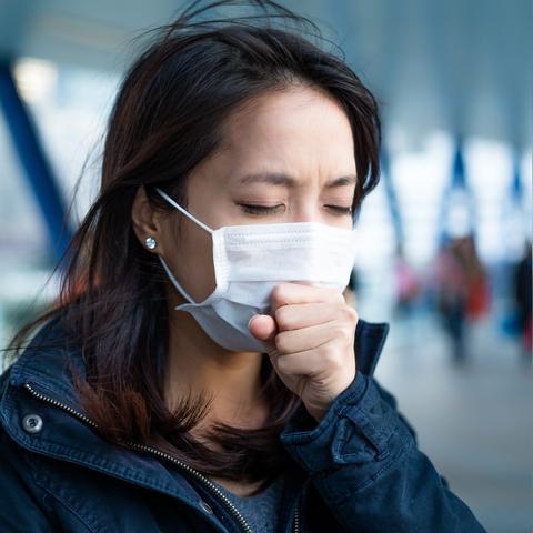 南极新闻速递，最新消息揭秘今日动态