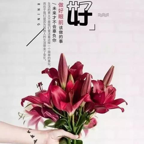 励志前行，智慧语录中的坚持力量——图片文案启示