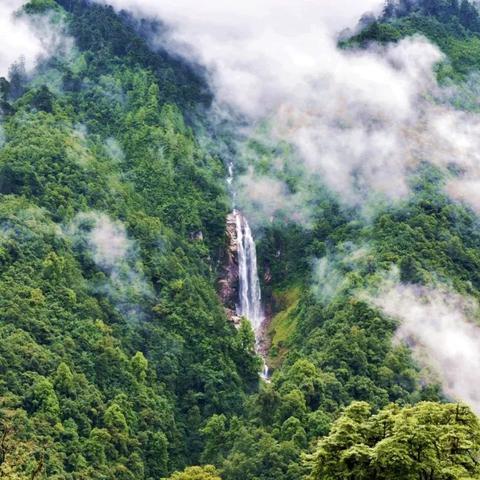 墨脱莲花秘境探索，绝美旅游攻略大揭秘！