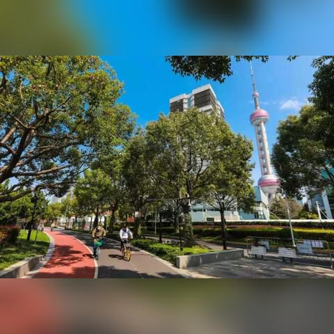 浦东金科路改造最新进展，未来科技之路崭新篇章开启