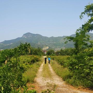 仙居下叶，自然美景与人文魅力融合之旅探索报道