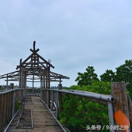 三墩岛最新今日头条新闻聚焦报道