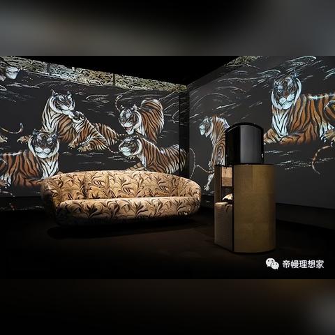 永恒风暴完美加点秘籍，轻松掌握游戏，助你成为顶尖王者！