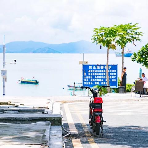 深圳官湖最新今日头条新闻报道速递