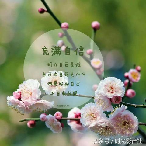 励志经典语录与短句集锦，汇聚智慧，激发力量