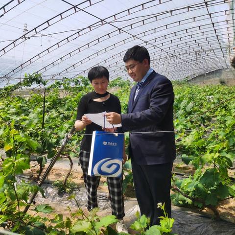 泰安最新动态，城市发展的脉搏与文化繁荣齐头并进