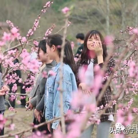 今日桃花广场新动态，城市新地标活力四溢