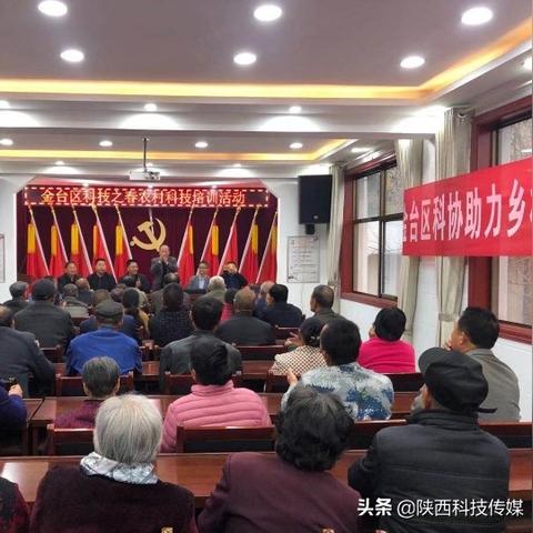 宝鸡生猪最新价格走势揭秘，市场动态分析与未来趋势预测