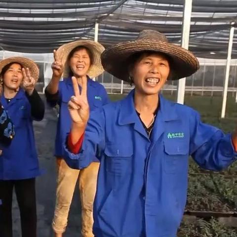 文旅行业标杆公司排名揭秘，探寻领军者，引领行业发展新潮流！