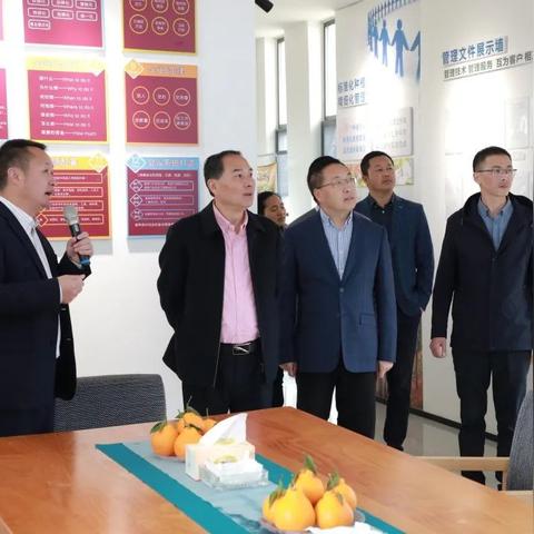 邛崃新闻聚焦，环保成城市发展关键词，绿色行动引领未来