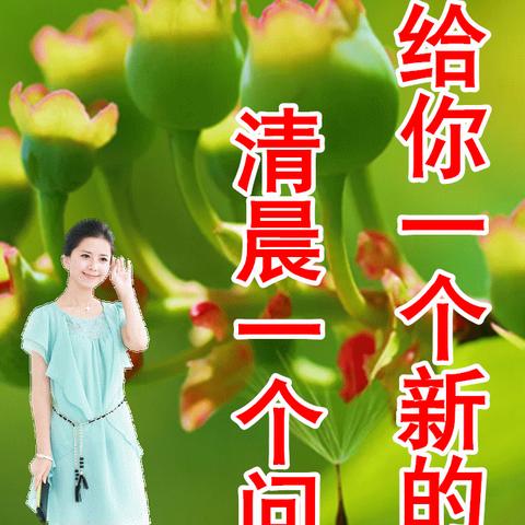 励志启航，女性早晨正能量语录简短