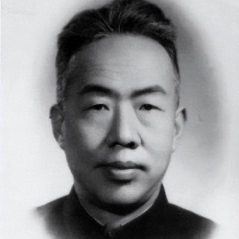 揭秘近亲属关系表，探寻家族脉络的奥秘，百度带你探索家族秘密！