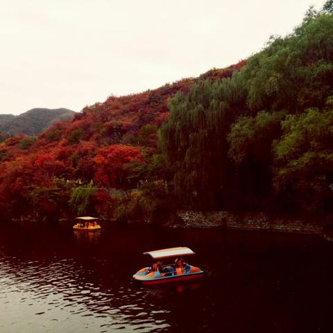 济南红叶谷与海边完美风光攻略，自然景色尽收眼底