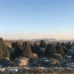 揭秘土匪带枪现象，最新新闻视频揭露社会阴暗面的警示