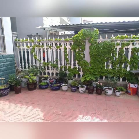 花香满园探秘自然之美，尽享花的盛宴旅游攻略