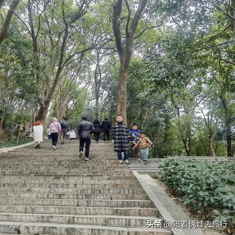 新年亲子欢乐游上海，留下美好回忆的旅游攻略