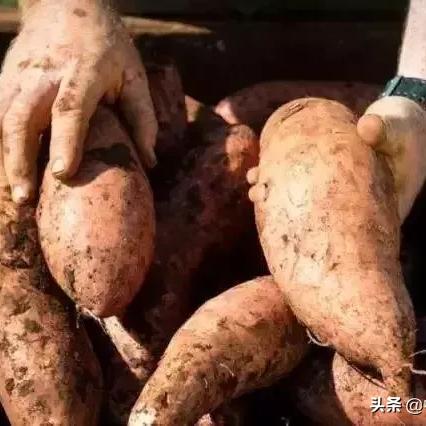 长乐虎门最新时事聚焦，热点新闻头条传递最新资讯
