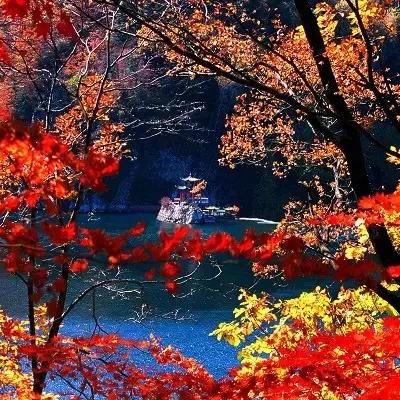 「苹果百度联合探索，科技与生活的无限魅力」