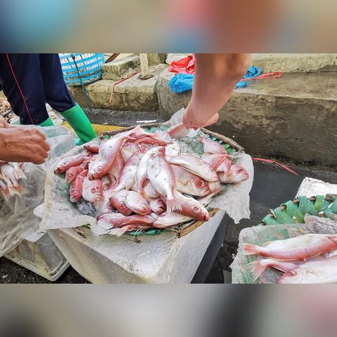 中国十大美味鱼类榜单揭晓，探寻最美味的海鲜佳肴盛宴！