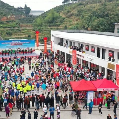 山茶村，自然与文化交织的完美旅行攻略