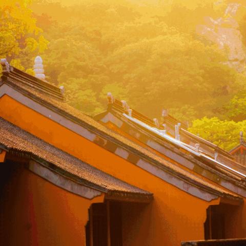 江南与青岛，梦幻之旅的完美融合攻略