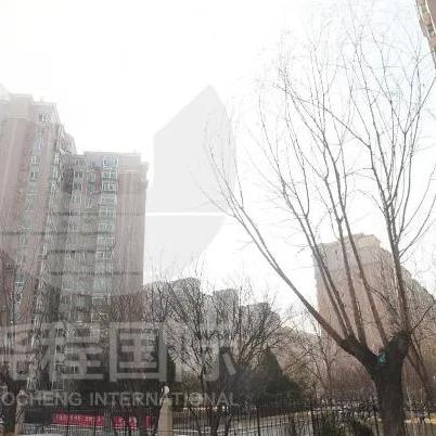 啊柴励志语录，生命不息，奋斗不止