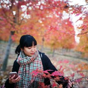 黄岛冬季旅行攻略大揭秘，探索魅力风光，尽享冬日盛宴！