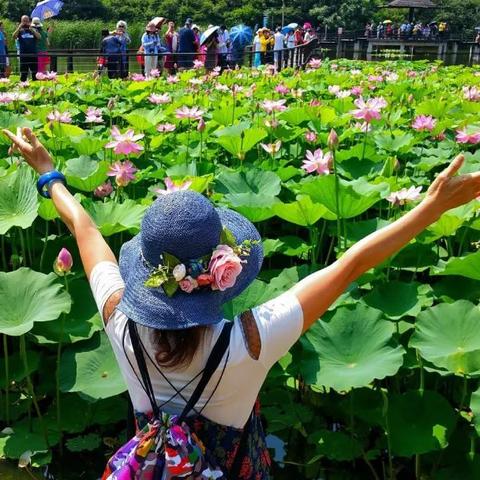 青山湿地探秘，自然之美的绝佳旅游攻略
