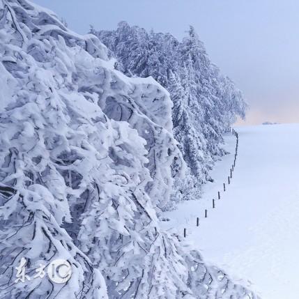 广东罕见降雪！南国冬日雪舞奇观，最新消息速览