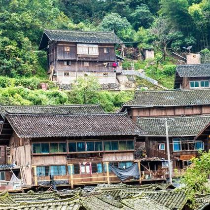 贵州防鼠公司排名及专业服务深度解析