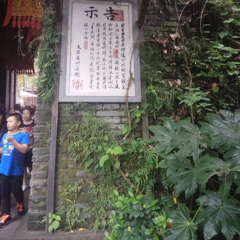 杭州一日游必打卡景点攻略，畅游绝美一日游路线！