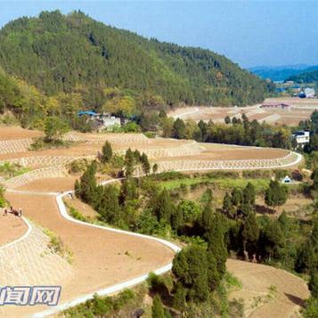双江口最新新闻报道，今日头条更新资讯速递
