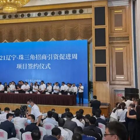 辽宁招商代理公司权威排名榜，解读辽宁招商行业的领军者