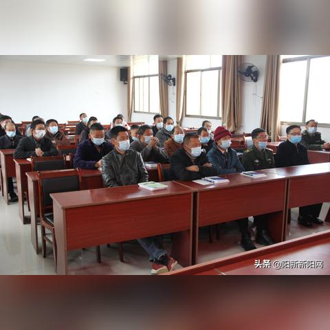 阳新县无证一楼事件揭秘，最新动态与深度探究进展曝光