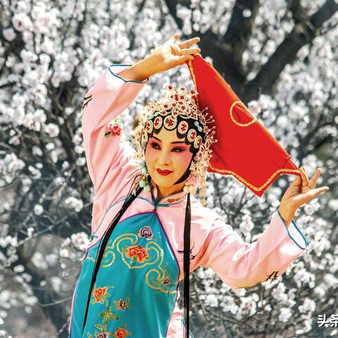徐州杏花古韵游，踏春探寻古城之美