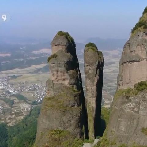 浙江木梯公司排名大揭秘，行业佼佼者深度探寻