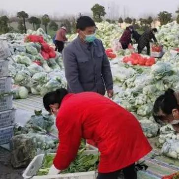 上海到襄阳运输公司排名揭晓，服务品质深度解析