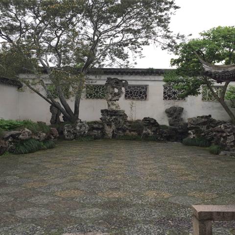 园林花木行业权威排名揭晓，探寻行业翘楚公司！