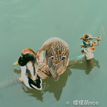 白塔旁探索城市新视角，一份详尽旅游攻略