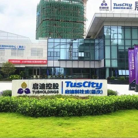 肇庆最新实时活动资讯速递