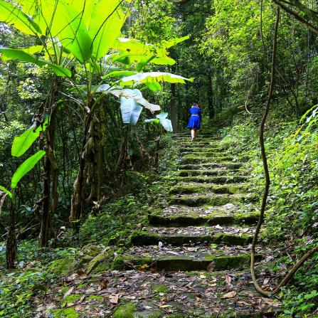 安徽惠州旅游攻略揭秘，绝美山水画卷等你来探！