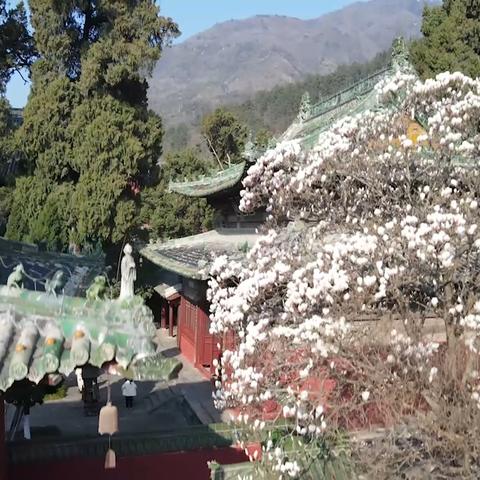 报恩禅寺深度游攻略，探寻古寺魅力，领略禅意人文之旅
