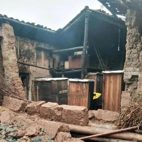 荣昌区暴雨最新动态，影响分析、应对策略及未来展望
