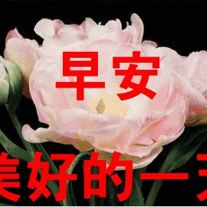 励志浪漫语录唤醒激情，点亮生活的希望之光。